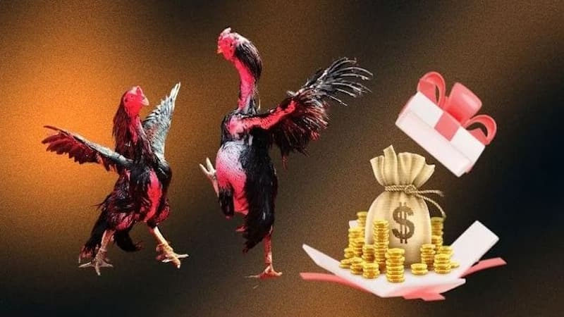 Điều kiện để tham gia nhận khuyến mãi GA6789